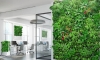 Green walls as a trendsetter in biophilic design