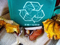 The circular economy of plastic: maximizing value through collection and recycling