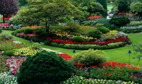 UK Latest and Most Popular Trends in Landscaping